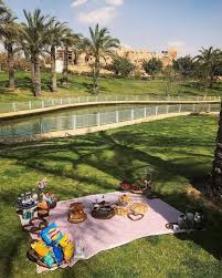 Family Park New Cairo المنشورات فيسبوك