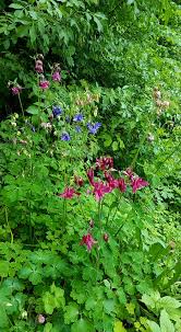 Gemütliche zimmer, ein leckeres und großzügiges frühstück und die schöne lage sind die garantie für einen erholsamen urlaub. Haus Bartholomaus Home Facebook