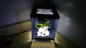 Shop all fish starter kits online. Top Fin Bettaflo 2 Gallon Update Youtube