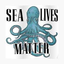 Watch my full walkthrough of little alchemy. Live Octopus Posters Redbubble