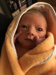 Tracey Early Donovan (@TraceyEarly)