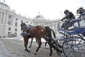 We did not find results for: Tierschutzer Fur Fiaker Winterregeln Wien Orf At
