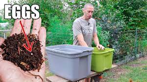 We did not find results for: How To Make A Worm Composting Bin Quick Simple And Inexpensive Gardening Youtube