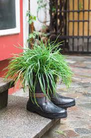 Maybe you would like to learn more about one of these? 31 Shoe And Boot Planter Ideas Photos Home Stratosphere