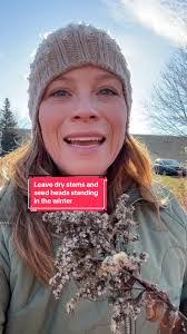 Aaron Dysart's Instagram, Twitter & Facebook