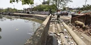 Companies referred to in this web site shall not be construed as agents nor as companies recommended by the department of irrigation and drainage. Noida Authority To Clean Citya S Only Irrigation Drain