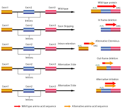 Gene Splicing Mechanism Alternative Splicing Tutorial Splice Variant Detection