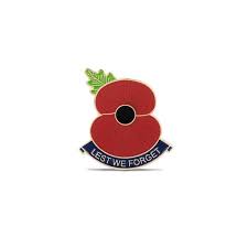 To commemorate the centennial of britain's. Lest We Forget Poppy Pin Poppy Shop Uk