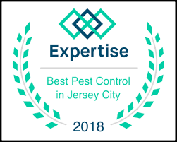 We offer a full line of organic pest control products at lake of the ozarks to keep your family and your pets safe from not only from pests, but from hazardous. Tapout Termite And Pest Control Residential Commercial Services Tapout Pest Control