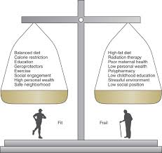 Image result for Frailty