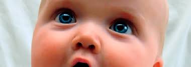 Cuando Ven Los Bebes Estimula Su Vision Club Familias