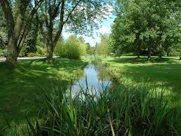Přečtěte si recenze atrakce loki schmidt garten botanical garden. Trfihi Parks Parks Loki Schmidt Garten