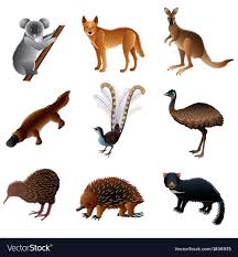 Pin By Irina Kovalchuk On Vadon Egzotikus Allatok Australian Animals Animal Illustration Australia Animals