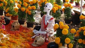 African marigold, aztec marigold, big marigold. Here Is The Legend Of Love And Tragic Death And The Cempasuchil Flower Pulso