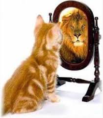 internal conflictì— ëŒ€í•œ ì´ë¯¸ì§€ ê²€ìƒ‰ê²°ê³¼