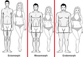 We did not find results for: What Body Shape Am I Why Doesn T It Matter Peck Me Out