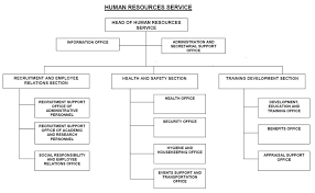 organizational structure