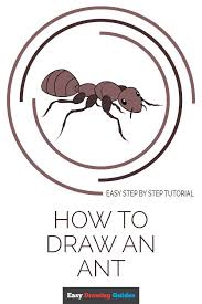 Learn How To Draw Ant Easy Step By Step Drawing Tutorial For Kids And Beginners See The Full Tutorial At Drawing Tutorial Easy Drawings Drawing Tutorial Easy