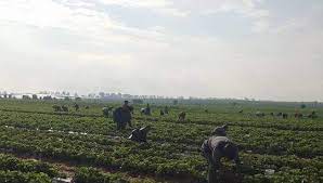 Locuri de muncă peste hotare. Locuri De MuncÄƒ Sezonieri Home Facebook