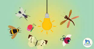 Check top rated bug zappers. These Pests Are Obsessed Why Do Insects Love Light