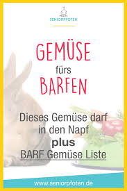 barf gemuse fur hunde umfangreiche liste hunde ernahrung hunde futter hundeernahrung