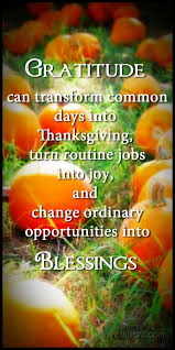 Happy Thanksgiving Quotes For Business | Happy Thanksgiving Photos ... via Relatably.com