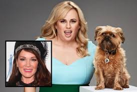 Rebel wilson took some time on tuesday to talk to fans about how she achieved her wellness goals over the last year.; Rebel Wilson To Host Pooch Perfect Dog Grooming Competition On Abc Tvline