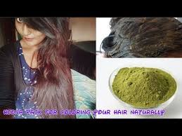How To Mix Henna For Hair Turn Gray Hair To Natural Black Youtube Henna Hair Premature Grey Hair Color Your Hair