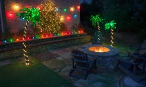 Lighted Palm Trees