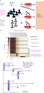 Genomic And Epidemiological Evidence Of Bacterial