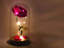 Disney and roseshire are proud to present a tale written for the ages! Enchanted Rose Beauty And The Beast Rose Anniversary Etsy