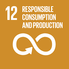 The 17 sdgs are integrated—they recognize that. Sustainable Development Goal 12 Wikipedia