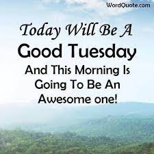 There are exactly 20 pictures with funny quotes from tuesday. 55 Funny Tuesday Quotes And Images With Inspirational Messages