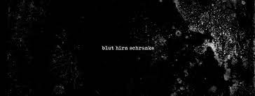 Freut euch an jedem tag im advent auf ein neurologisches türchen mit kuriosem, begriffen und persönlichkeiten aus der wunderbaren welt der neurologie. Blut Hirn Schranke Facebook