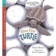 Lots Of Similes Great Discussion Question Why Does The Author Avoid Personification Why Are Some Kinds Of Figurative Languag Turtle Book Tiny Turtle Turtle