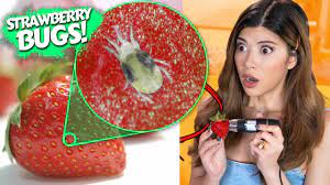 In this video i will show you 8 ordinary things that appear amazing under a powerful microscope. I Tested The Tik Tok Strawberry Bugs Hack With A Microscope Youtube