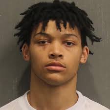 Deontay Staten and Anthony Stevenson, both 18, are charged with vehicle  theft and evading arrest after fleeing officers today in Davidson County  and traveling