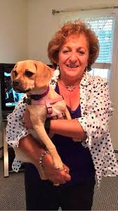 Check spelling or type a new query. Dealing With Grief After The Death Of A Beloved Pet News Eagletribune Com