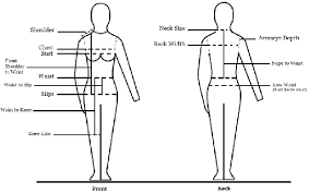The Standard Body Measurements Chart Download Scientific