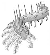 Spiky Monsters New Species Of Super Armored Worm Discovered Prehistoric Creatures Prehistoric Creatures