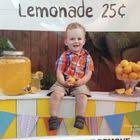 Dr Kelly Stephens Resources Mercy Primary Care Medical Services Kelly