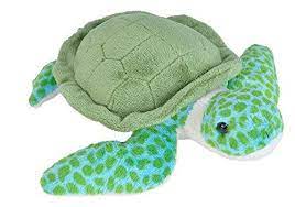 Wild Republic Sea Turtle Plush Stuffed Animal Plush Toy Https Www Amazon Com Dp B07br8t Turtle Plush Teddy Bear Stuffed Animal Realistic Stuffed Animals