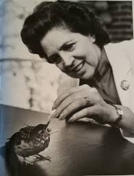 Durham Council of Garden Clubs: Member Profile: Ruth Yarbrough's 'Service  of Joy'