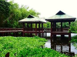 A few patients who never checked out are on display, including tigers, monkeys, pythons and various eagles and other birds. Lagoon Picture Of Ninoy Aquino Parks And Wildlife Center Luzon Tripadvisor