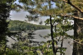 Profile for Amy Weingartner Branigin Peninsula Preserve