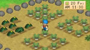 We did not find results for: Cara Mendapatkan Bibit Langka Di Harvest Moon Back To Nature