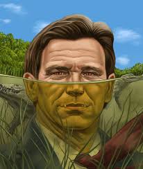 SCOTT ANDERSON STUDIO