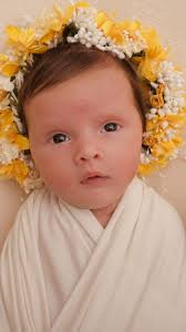 💛 Tulipani im më i bukur në botë 💛, ——, 15.06.2024