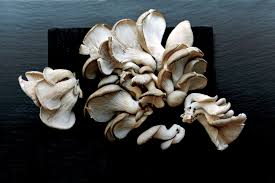 Learning how to grow mushrooms is a fun and rewarding experience. Growing Mushrooms At Home Is Easier Than You D Think Epicurious
