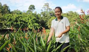 The volunteer gardeners@istana programme is a new initiative by istana and nparks, to make the istana more. Nparks Talent In Bloom Brightsparks 2019 Volume 2 Scholarship Education Emagazine